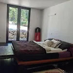 La Maison De Joy Dans Le Parc Des Elfes *