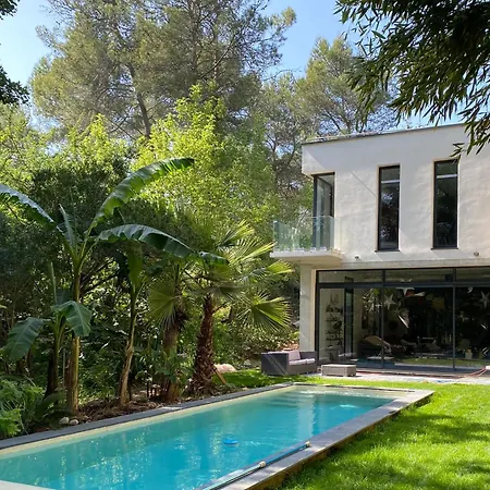 La Maison De Joy Dans Le Parc Des Elfes