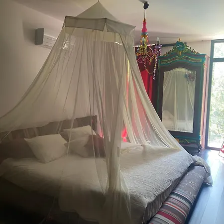 Homestay La Maison De Joy Dans Le Parc Des Elfes Montferrier-sur-Lez