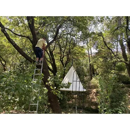 La Maison De Joy Dans Le Parc Des Elfes