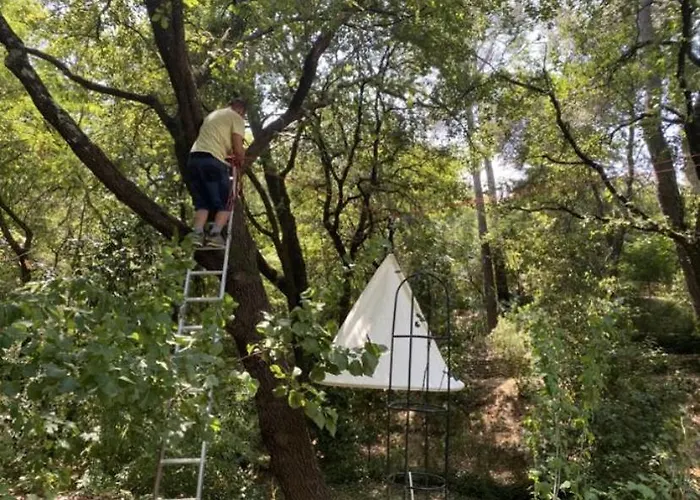 La Maison De Joy Dans Le Parc Des Elfes
